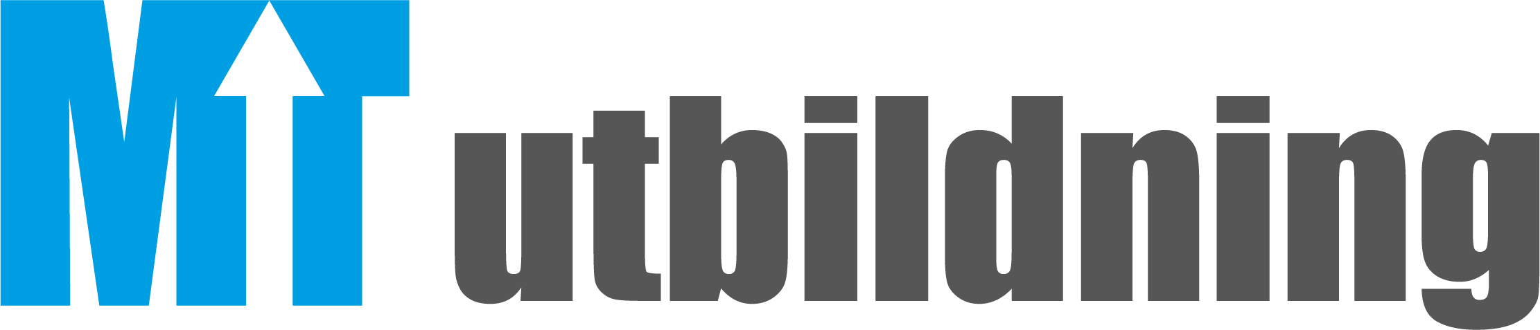 MT utbildning